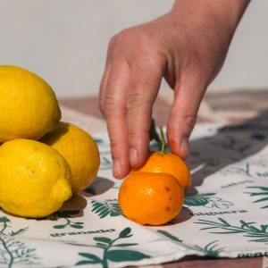 Mantel "Vegetal" (2 unidades)